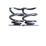 2003-2008 BMW Z4 Rear Coil Springs Set (2), 33-53-7-760-605, F027, OEM, 2003, 2004, 2005, 2006, 2007, 2008, 2009