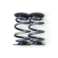 2003-2008 BMW Z4 Rear Coil Springs Set (2), 33-53-7-760-605, F027, OEM, 2003, 2004, 2005, 2006, 2007, 2008, 2009