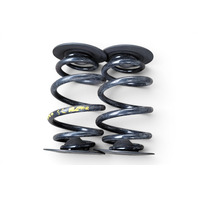 2003-2008 BMW Z4 Rear Coil Springs Set (2), 33-53-7-760-605, F027, OEM, 2003, 2004, 2005, 2006, 2007, 2008, 2009