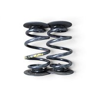 2003-2008 BMW Z4 Rear Coil Springs Set (2), 33-53-7-760-605, F027, OEM, 2003, 2004, 2005, 2006, 2007, 2008, 2009