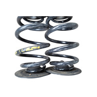 2003-2008 BMW Z4 Rear Coil Springs Set (2), 33-53-7-760-605, F027, OEM, 2003, 2004, 2005, 2006, 2007, 2008, 2009