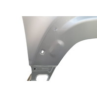2003-2006 Toyota 4Runner Fender Panel Assy. Right/Passenger Silver Metallic, 53801-35530, F029, OEM, 2003, 2004, 2005, 2006