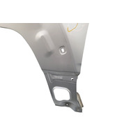 2003-2006 Toyota 4Runner Fender Panel Assy. Left/Driver Silver Metallic, 53802-35620, F029, OEM, 2003, 2004, 2005, 2006