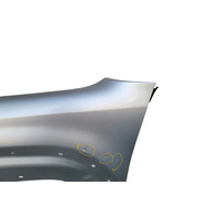 2003-2006 Toyota 4Runner Fender Panel Assy. Left/Driver Silver Metallic, 53802-35620, F029, OEM, 2003, 2004, 2005, 2006
