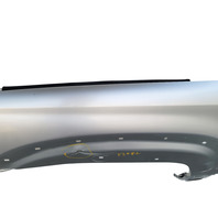 2003-2006 Toyota 4Runner Fender Panel Assy. Left/Driver Silver Metallic, 53802-35620, F029, OEM, 2003, 2004, 2005, 2006