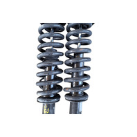 2003-2009 Toyota 4Runner Shock Absorber Strut Front Left/Right Set, F029, OEM, 2003, 2004, 2005, 2006, 2007, 2008, 2009