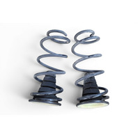 2003-2009 Toyota 4Runner Rear Left/Right Shock Spring Coil Set RWD, F029, OEM, 2003, 2004, 2005, 2006, 2007, 2008, 2009
