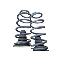2009-2014 Toyota FJ Cruiser Rear Shock Spring Coil Set 48231-35430, 48231-35430, F030, OEM, 2009, 2010, 2011, 2012, 2013, 2014