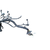 2004-2008 Mazda RX-8 RX8 Engine Wire Harness, 1.3L, F031, OEM, 2004, 2005, 2006, 2007, 2008