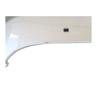 2003-2006 Toyota 4Runner Fender Panel Assy. Right/Passenger Dorado Gold, 53801-35530, F032, OEM, 2003, 2004, 2005, 2006