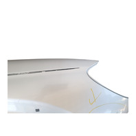 2003-2006 Toyota 4Runner Fender Panel Assy. Right/Passenger Dorado Gold, 53801-35530, F032, OEM, 2003, 2004, 2005, 2006