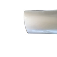 2003-2006 Toyota 4Runner Rear Door Molding Trim Left/Driver Dorado Gold, 75742-35110-F0, F032, OEM, 2003, 2004, 2005, 2006