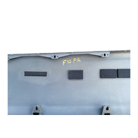 2003-2006 Toyota 4Runner Door Molding Trim Light Front Right Dorado Gold, 75731-35110-F0, F032, OEM, 2003, 2004, 2005, 2006