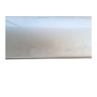 2003-2006 Toyota 4Runner Door Molding Trim Light Front Right Dorado Gold, 75731-35110-F0, F032, OEM, 2003, 2004, 2005, 2006