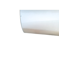 2003-2006 Toyota 4Runner Door Molding Trim Front Left/Driver, Dorado Gold, 75732-35110-F0, F032, OEM, 2003, 2004, 2005, 2006