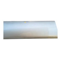 2003-2006 Toyota 4Runner Door Molding Trim Front Left/Driver, Dorado Gold, 75732-35110-F0, F032, OEM, 2003, 2004, 2005, 2006