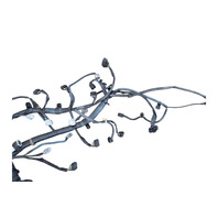 2003-2005 Toyota 4Runner 4.0L V6 (1GRFE) Engine Wire Harness 82121-3M440, F032, OEM, 2003, 2004, 2005