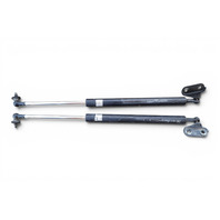 2003-2006 Toyota 4Runner Trunk Stay Open Strut Damper Set 53440-69065, F032, 2003, 2004, 2005, 2006