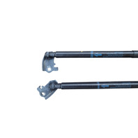 2013-2020 Lexus GS350 Hood Damper Stay Strut Left/Right Set, F033, OEM, 2013, 2014, 2015, 2016, 2017, 2018, 2019, 2020