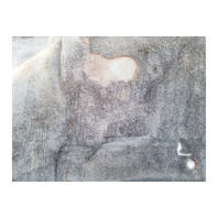 1990-1996 Nissan 300ZX Floor Cover Carpet Rug Black, 74901-54P00, F034, OEM, 1990, 1991, 1992, 1993, 1994, 1995, 1996