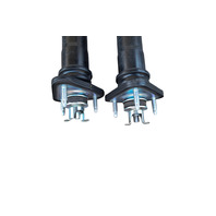 2015-2020 Lexus GS350 F Sport Rear AVS Shock Pair 48530-30D70, 48530-30D70, F035, OEM, 2015, 2016, 2017, 2018, 2019, 2020
