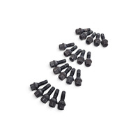 2003-2016 BMW Z4 E85  Steel Wheel Lug Nuts Set (20 Pieces) 36-13-6-781-150, F038, OEM, 2003, 2004, 2005, 2006, 2007, 2008, 2009, 2010, 2011, 2012, 2013, 2014, 2015, 2016