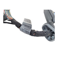 2003-2005 BMW Z4 E85 Front Door Wire Harness Left/Driver 61-12-6-934-607, F038, OEM, 2003, 2004, 2005