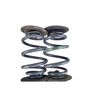 2003-2008 BMW Z4 E85 E86 Rear Coil Springs Pair, 33-53-7-760-605, F038, OEM, 2003, 2004, 2005, 2006, 2007, 2008, 2009
