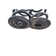 2003-2008 BMW Z4 E85 E86 Rear Coil Springs Pair, 33-53-7-760-605, F038, OEM, 2003, 2004, 2005, 2006, 2007, 2008, 2009