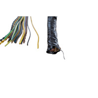 2003-2005 BMW Z4 E85 3.0i SMG Engine Bay Left Right Wiring Harness Section, 61-11-6-932-952, F038, OEM, 2003, 2004, 2005