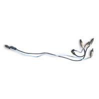 2003-2005 BMW Z4 Oxygen Emission O2 Sensor Set(4), 11-78-1-742-050, 11-78-1-433-940, F038, OEM, 2003, 2004, 2005