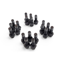 2006-2010 BMW 650i E63 E64 Wheel Lug Bolts Set (20 Pieces) 36-13-6-781-150, F039, OEM, 2006, 2007, 2008, 2009, 2010