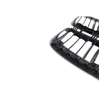 2006-2010 BMW 650i E63 E64 Chrome Kidney Grille Right/Left Set, 51-13-7-077-932, 51-13-7-077-931, F039, OEM, 2006, 2007, 2008, 2009, 2010