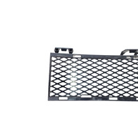 2006-2007 BMW 650i E63 E64 Front Bumper Center Lower Mesh Grille, 51-11-7-008-820, F039, OEM, 2006, 2007