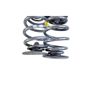 1996-2002 BMW Z3 Rear Coil Springs Set (2), 33-53-6-753-422, F040, OEM, 1996, 1997, 1998, 1999, 2000, 2001, 2002
