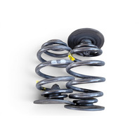 1996-2002 BMW Z3 Rear Coil Springs Set (2), 33-53-6-753-422, F040, OEM, 1996, 1997, 1998, 1999, 2000, 2001, 2002