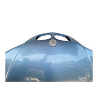 1996-2002 BMW Z3 Engine Hood Assembly Blue, 41-61-0-306-991, F040, OEM, 1996, 1997, 1998, 1999, 2000, 2001, 2002