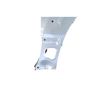 2003-2006 Toyota 4Runner Fender Panel Assy. Right/Passenger Silver, 53801-35530, F042, OEM, 2003, 2004, 2005, 2006