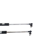 2004-2009 Toyota 4Runner Trunk Stay Open Strut Damper Set (2), F042, OEM, 2004, 2005, 2006, 2007, 2008, 2009