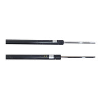 2004-2009 Toyota 4Runner Trunk Stay Open Strut Damper Set (2), F042, OEM, 2004, 2005, 2006, 2007, 2008, 2009