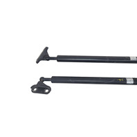 2004-2009 Toyota 4Runner Trunk Stay Open Strut Damper Set (2), F042, OEM, 2004, 2005, 2006, 2007, 2008, 2009