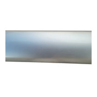 2003-2006 Toyota 4Runner Door Molding Trim Front Left/Driver, Silver, 75732-35110-B0, F042, OEM, 2003, 2004, 2005, 2006
