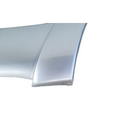2003-2006 Toyota 4Runner Rear Door Molding Trim Left/Driver Silver, 75742-35110-B0, F042, OEM, 2003, 2004, 2005, 2006