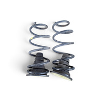 2003-2009 Toyota 4Runner Rear Left/Right Shock Spring Coil Set RWD, F042, OEM, 2003, 2004, 2005, 2006, 2007, 2008, 2009