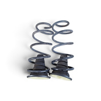 2003-2009 Toyota 4Runner Rear Left/Right Shock Spring Coil Set RWD, F042, OEM, 2003, 2004, 2005, 2006, 2007, 2008, 2009