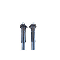 2013-2016 Lexus GS350 Rear Left/Right Strut Shock Absorber Set 48530-30A02, 48530-80711, F045, OEM, 2013, 2014, 2015, 2016