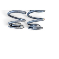 2011 Honda CR-Z CRZ Rear Coil Springs Set (2), 52441-SZT-A01, F046, OEM, 2011