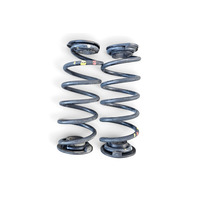 2011 Honda CR-Z CRZ Rear Coil Springs Set (2), 52441-SZT-A01, F046, OEM, 2011