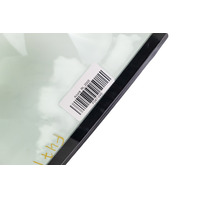 2005-2012 Acura RL Front Left Driver Movable Glass Window 73350-SJA-A02, F047, OEM, 2005, 2006, 2007, 2008, 2009, 2010, 2011, 2012