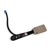 2005-2008 Acura RL Seat Belt Buckle, Front Left/Driver Side Cream Ivory, 04816-SJA-A01ZC, F047, OEM, 2005, 2006, 2007, 2008